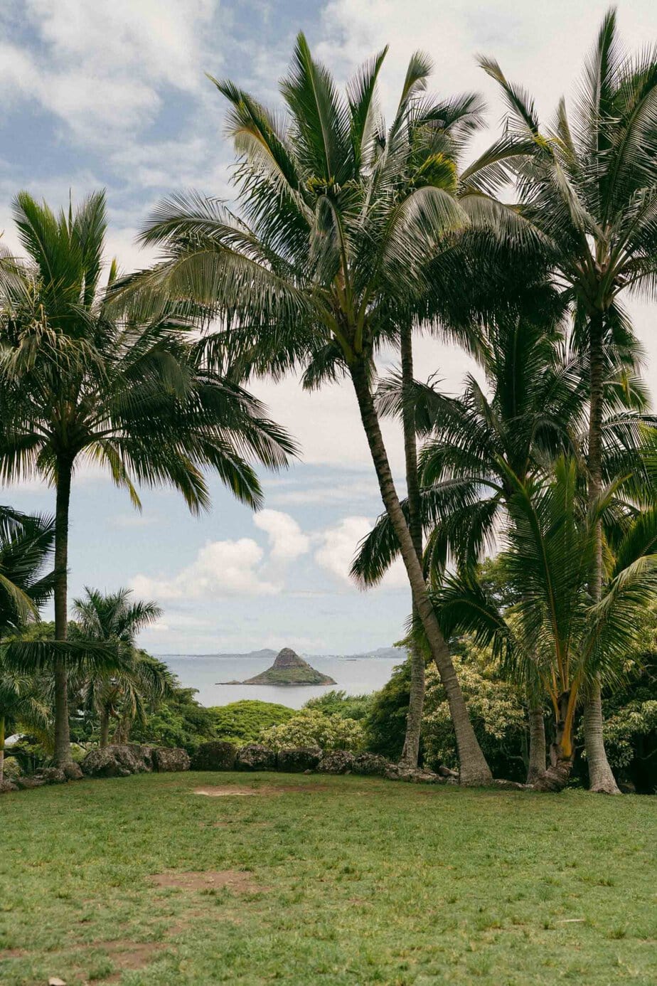 oahu wedding photographer masha sakhno photo paliku gardens kualoa ranch 63 of 129 scaled