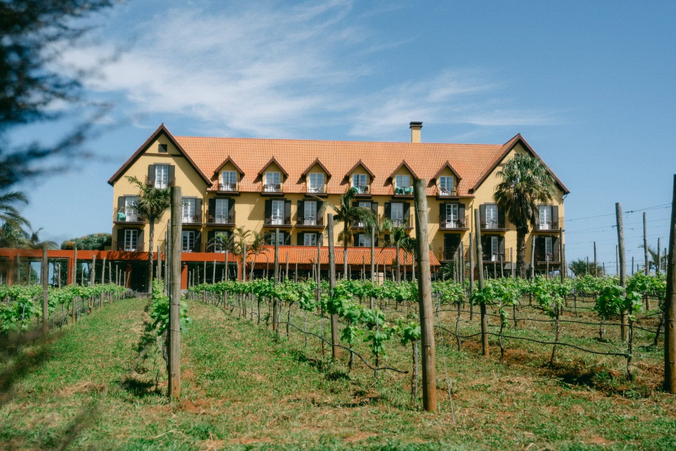 Old winery in Madeira, Portugal.