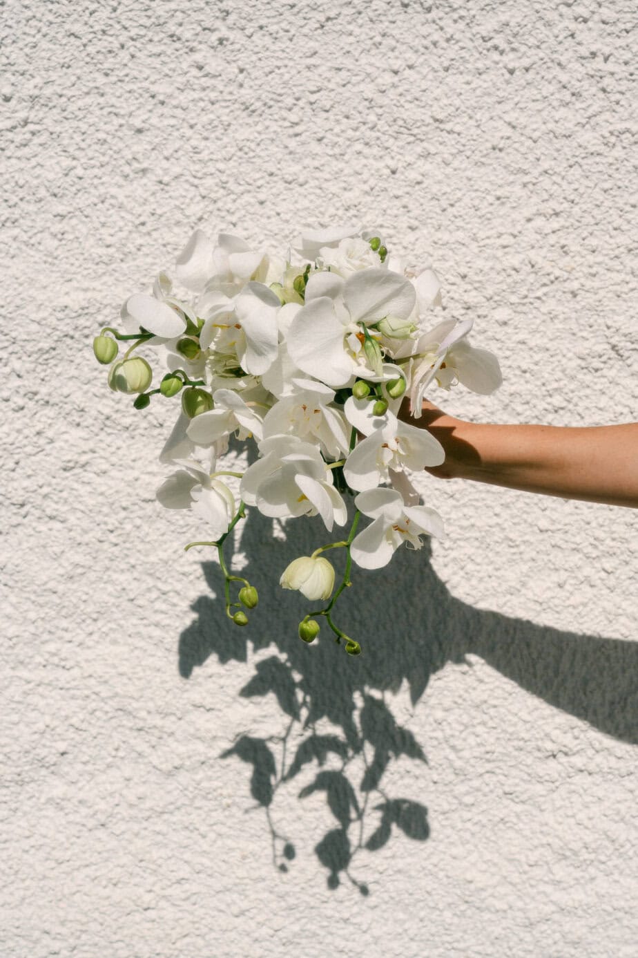 madeira elopement wedding photographer 1 525