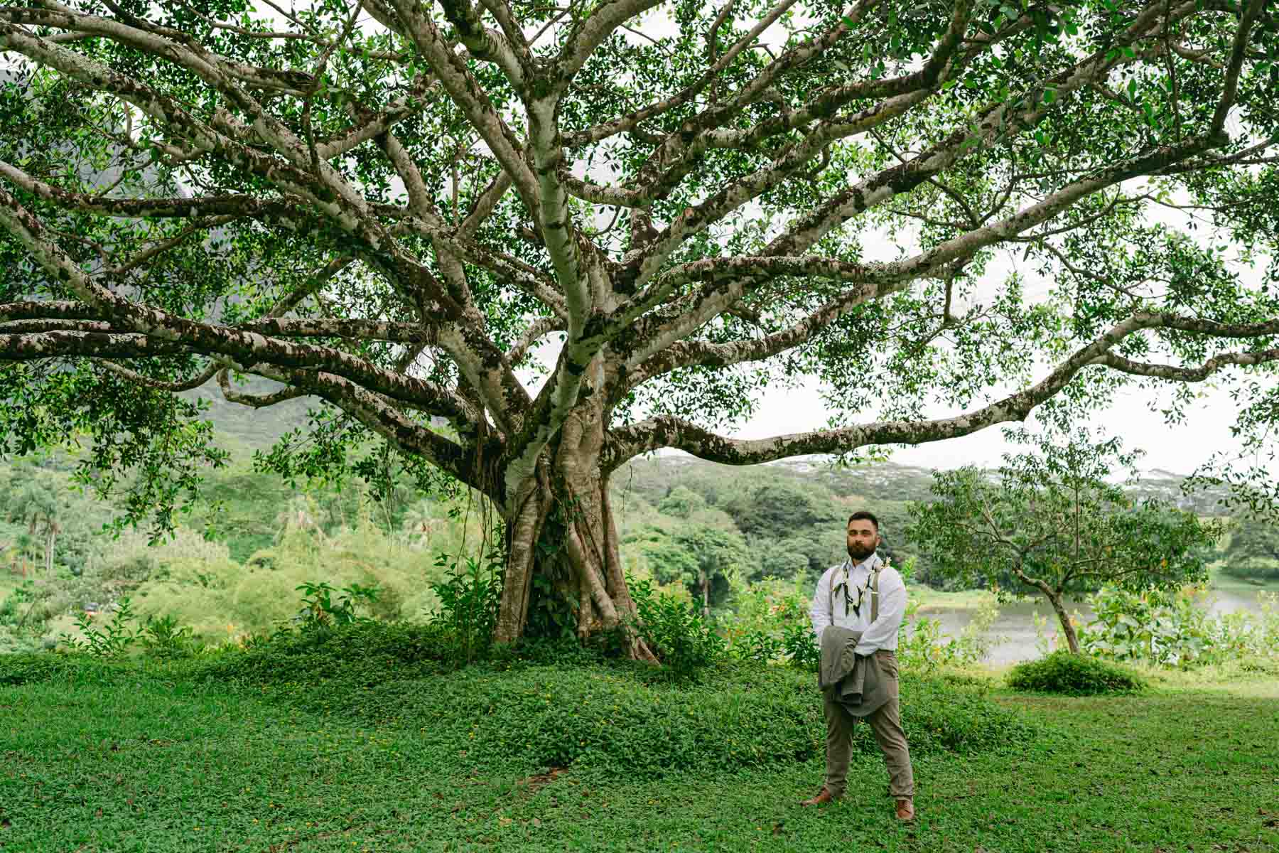 Groom waits for bride under large tree at the Ho'omaluhia Botanical Gardens.