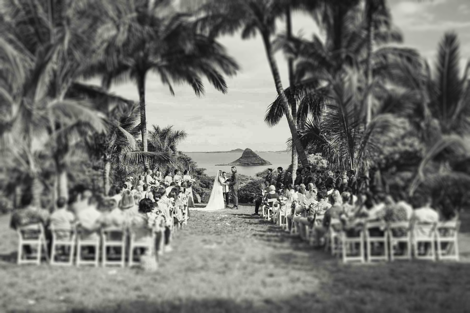 Best Oahu Wedding Venues with a Jungle Feel