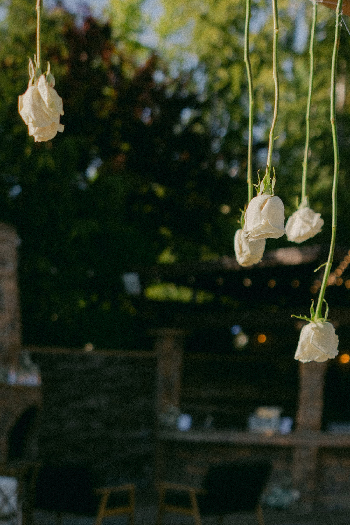 White roses at Serendipity Gardens wedding.