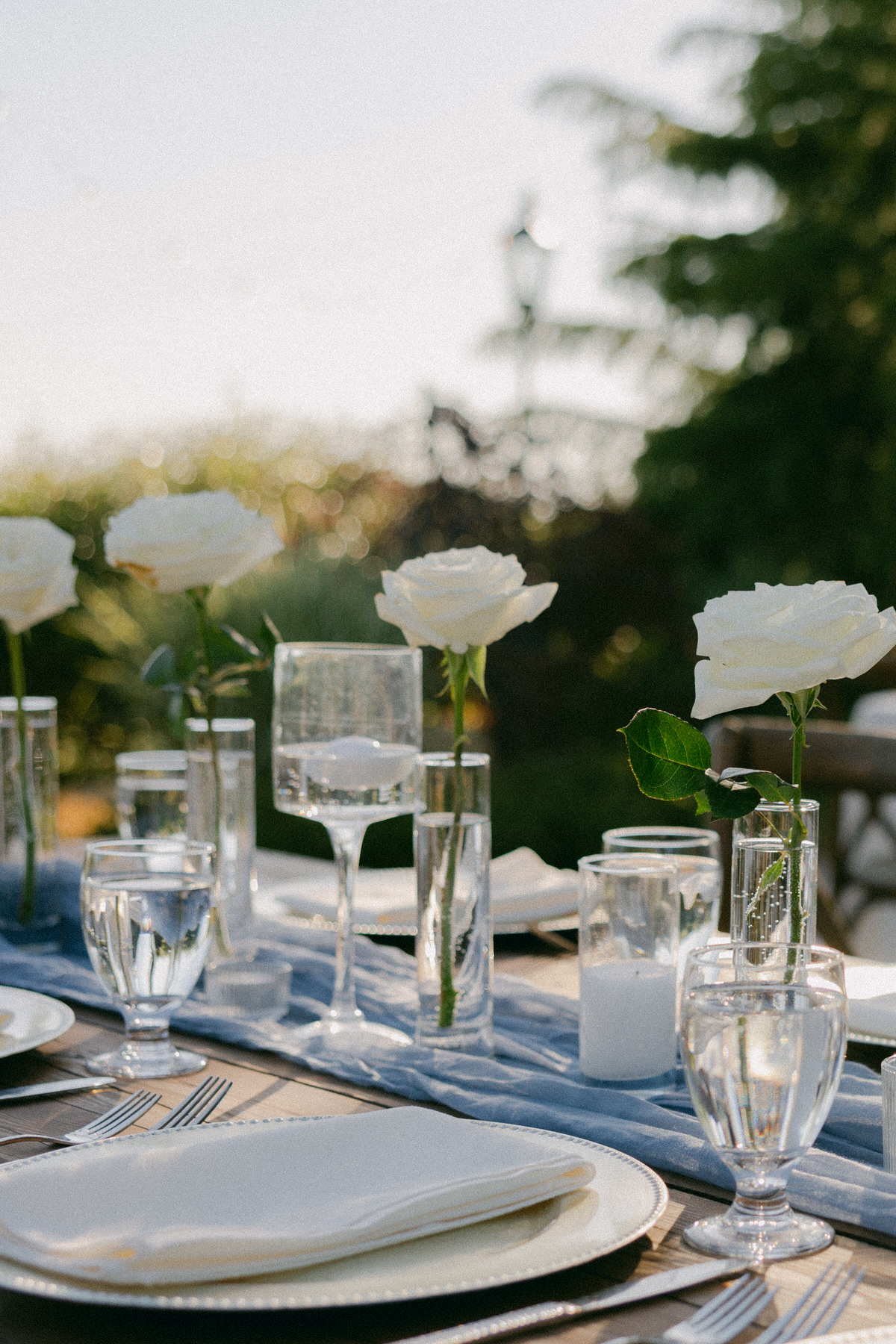 Plates and glassware details at Serendipity Gardens wedding.