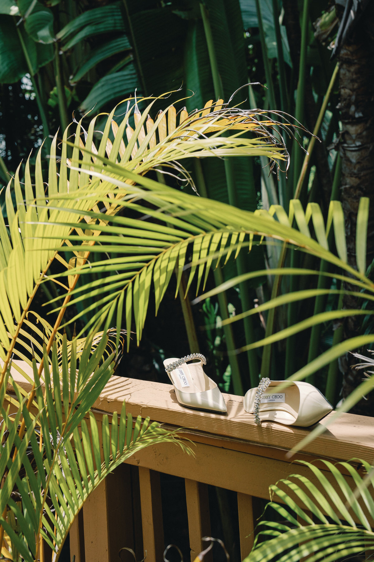 Jimmy Choo wedding shoes inside a palm frond.