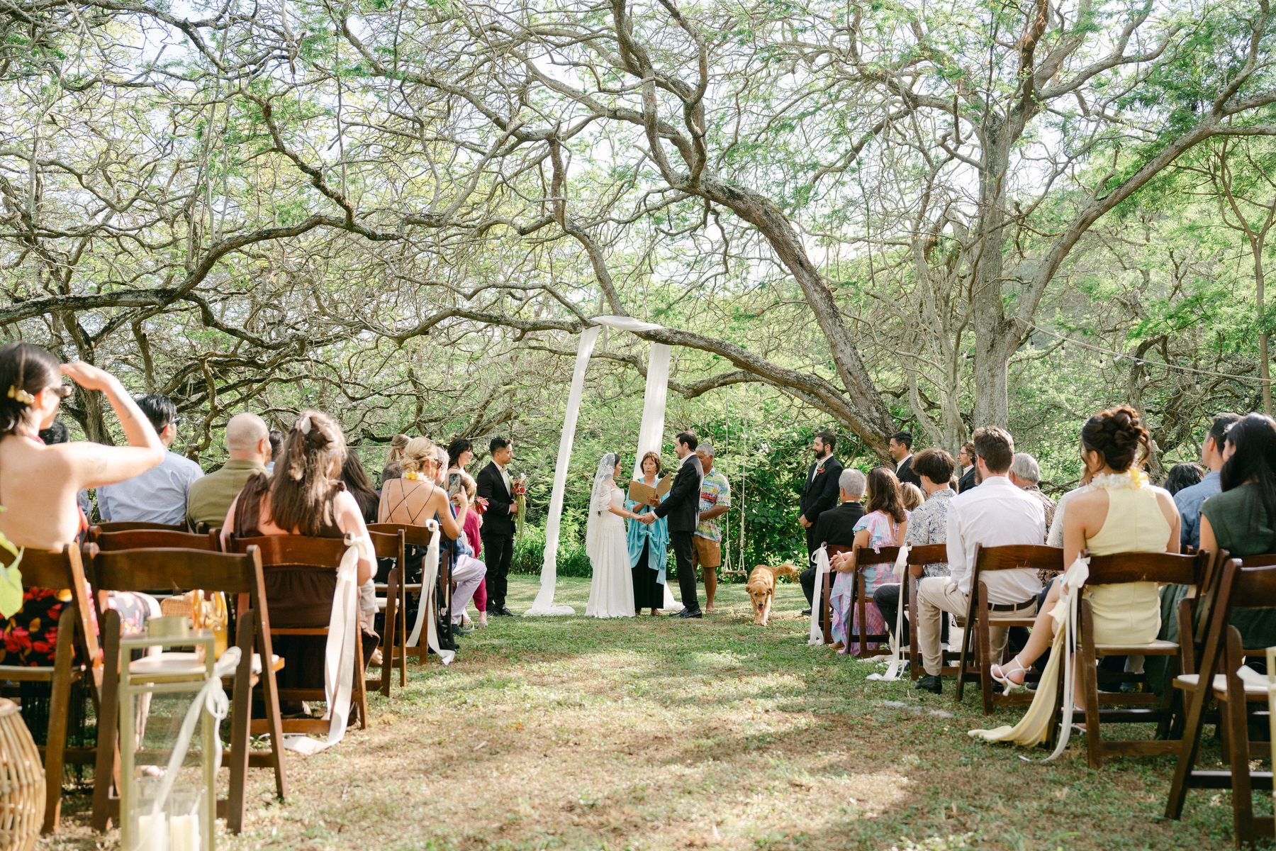 A backyard wedding at a family estate in Oahu.