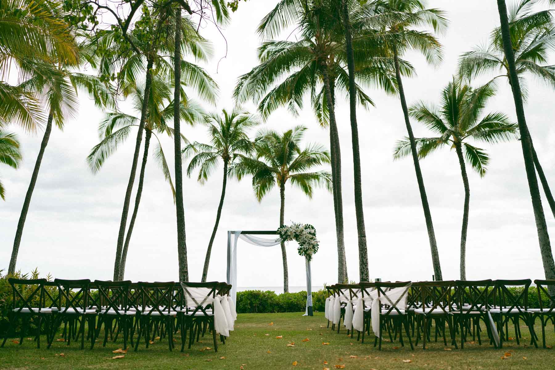 A wedding ceremony setup with a floral arch under palm trees, facing the ocean.