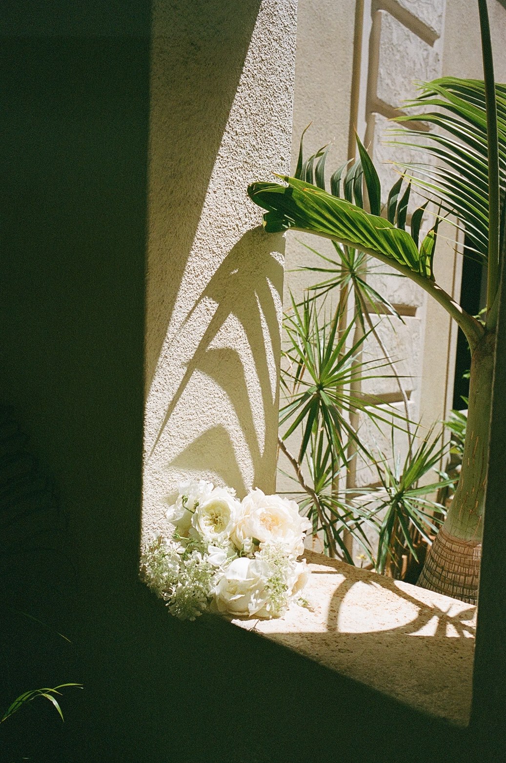 A soft, romantic shot of a white bridal bouquet resting on a sunlit ledge, framed by tropical greenery.