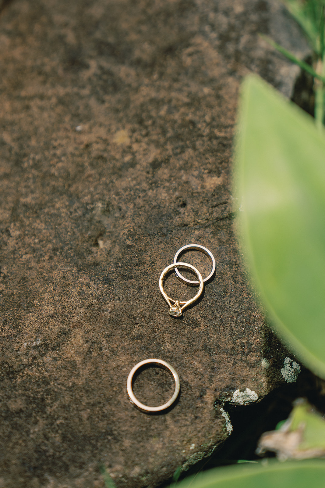Wedding rings placed on a textured stone surface, with lush greenery around them.