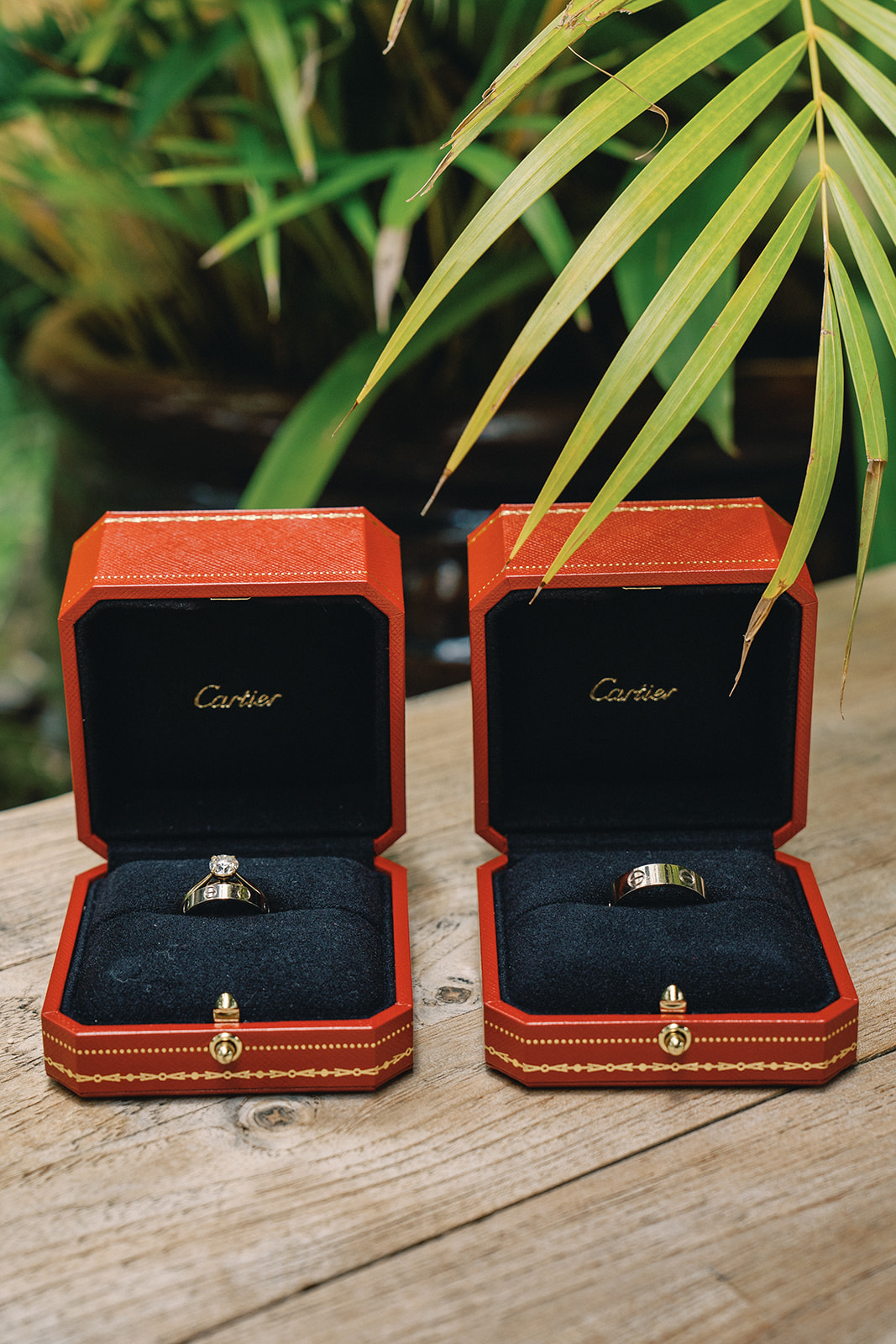 Cartier wedding rings displayed in elegant red boxes, with a lush green backdrop.