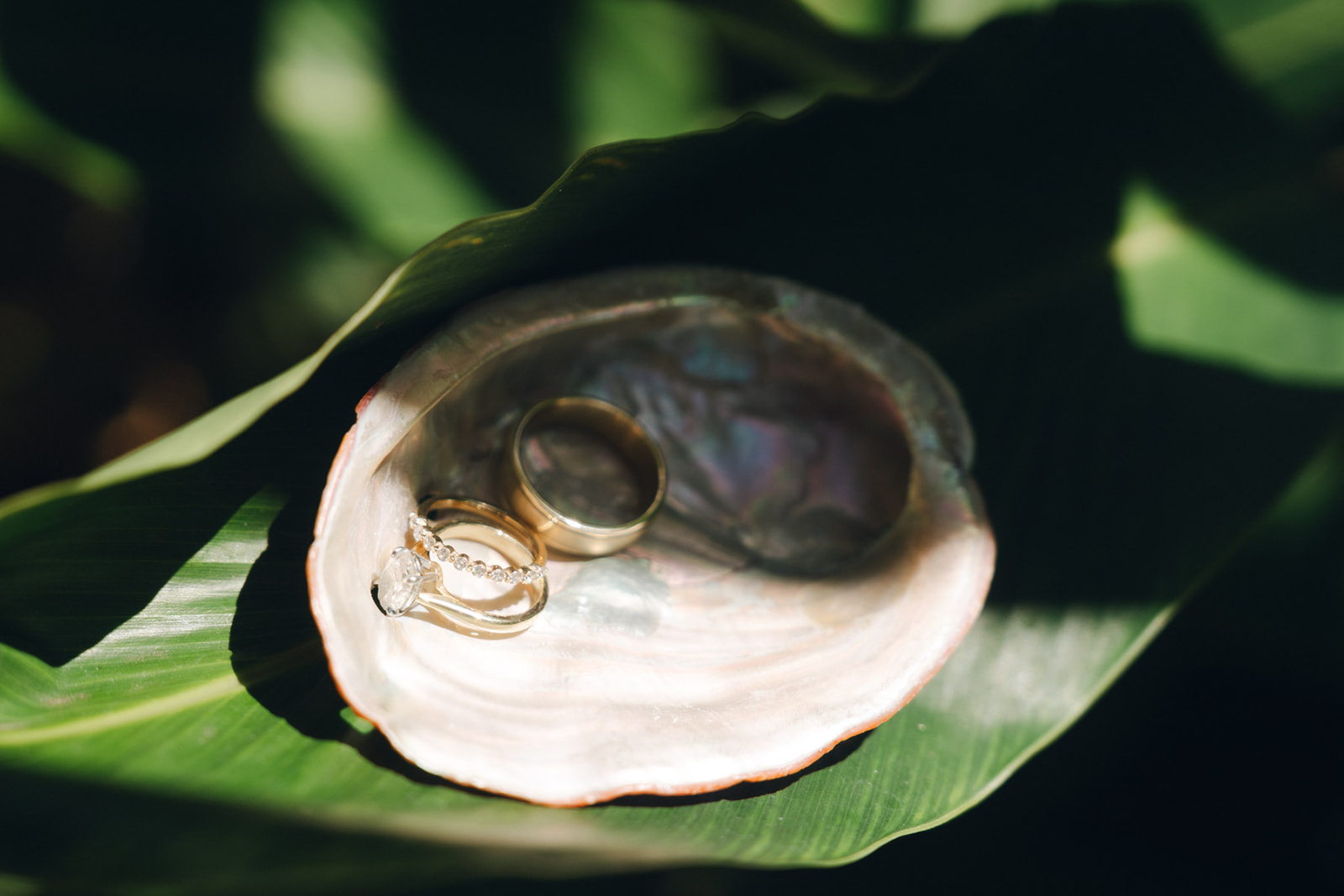 A wedding ring set, including a gold band and a diamond engagement ring, rests inside a pearlescent shell on a lush green leaf. A simple yet stunning nod to the island’s natural beauty.