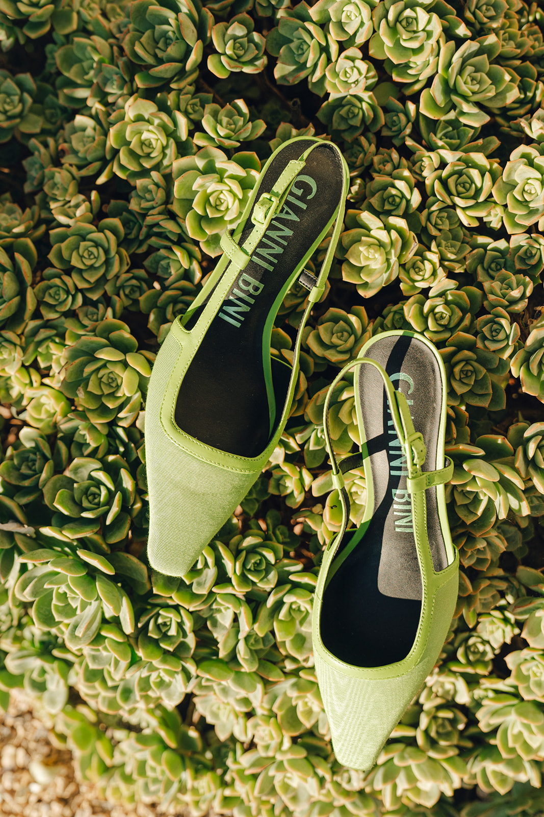 A pair of pointed lime-green slingback heels resting on a bed of lush green succulents, blending fashion with nature.