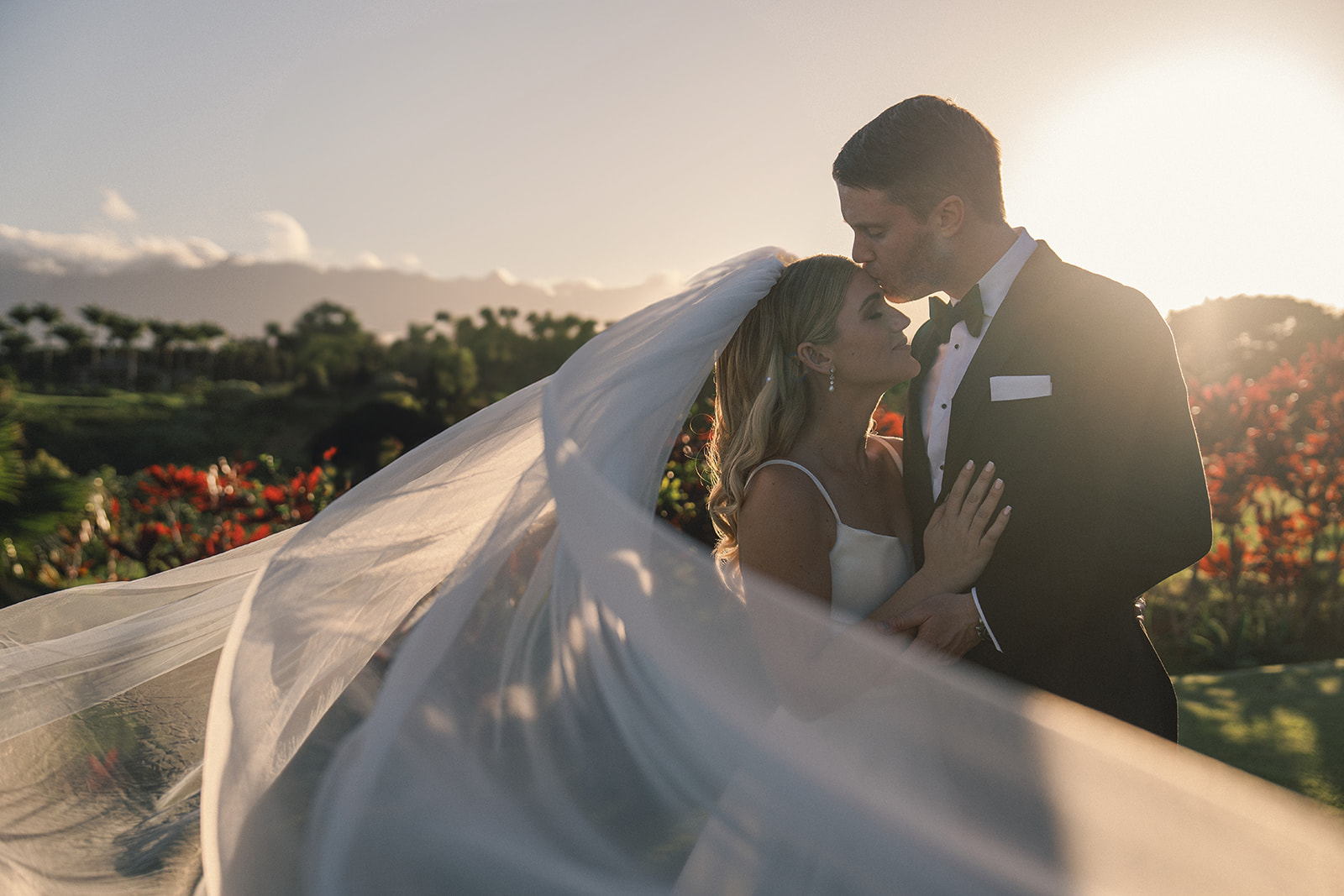 A bride and groom share an intimate moment as the groom kisses her forehead. The golden sunlight illuminates her flowing veil, creating a stunning, ethereal effect with the lush greenery in the background.