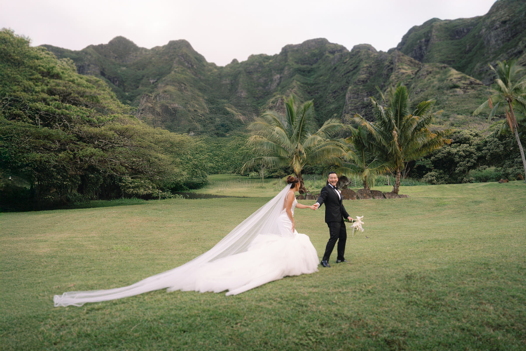 Newlyweds at Kualoa Ranch wedding at Paliku Gardens.