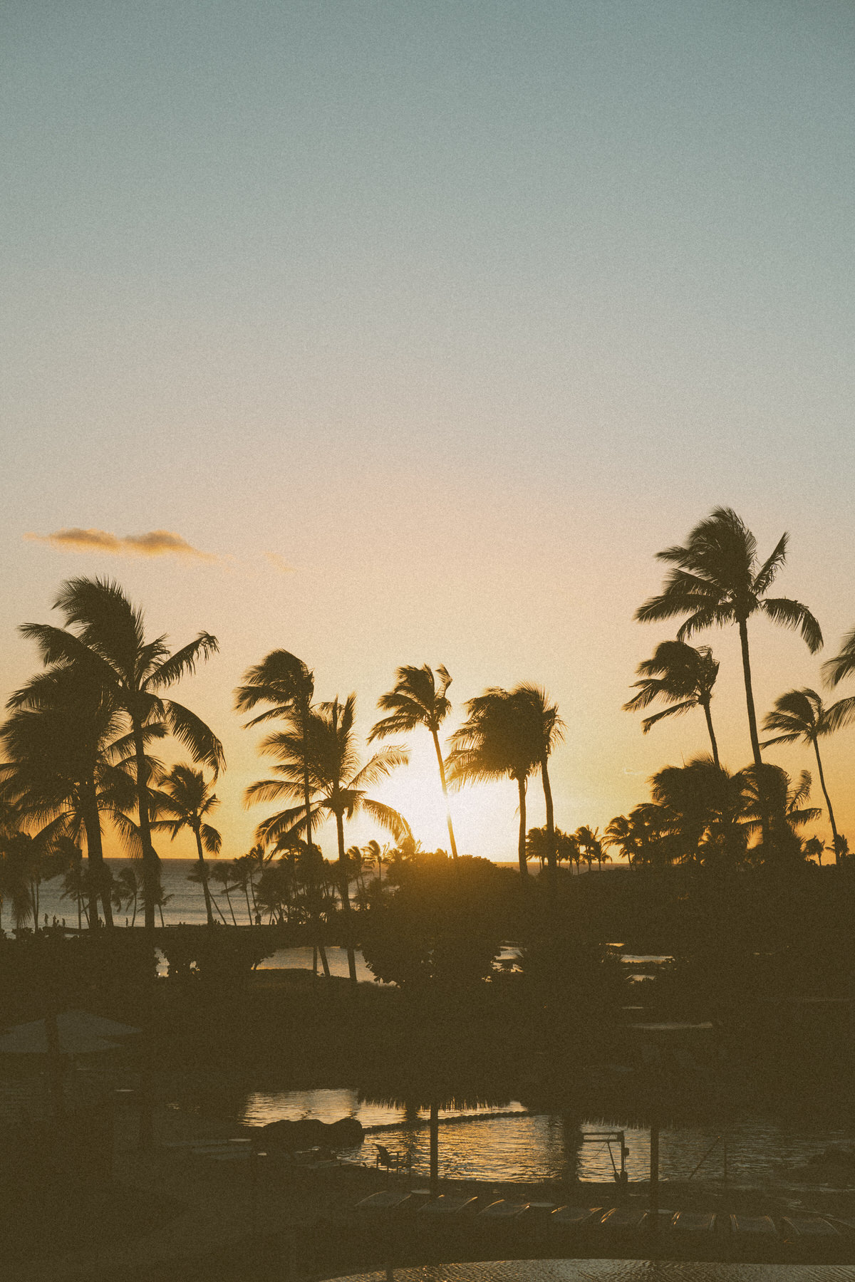 Stunning sunset over palm trees, with the sky glowing in warm hues, captured during an elopement in Hawaii in Elopement Photography in Hawaii.