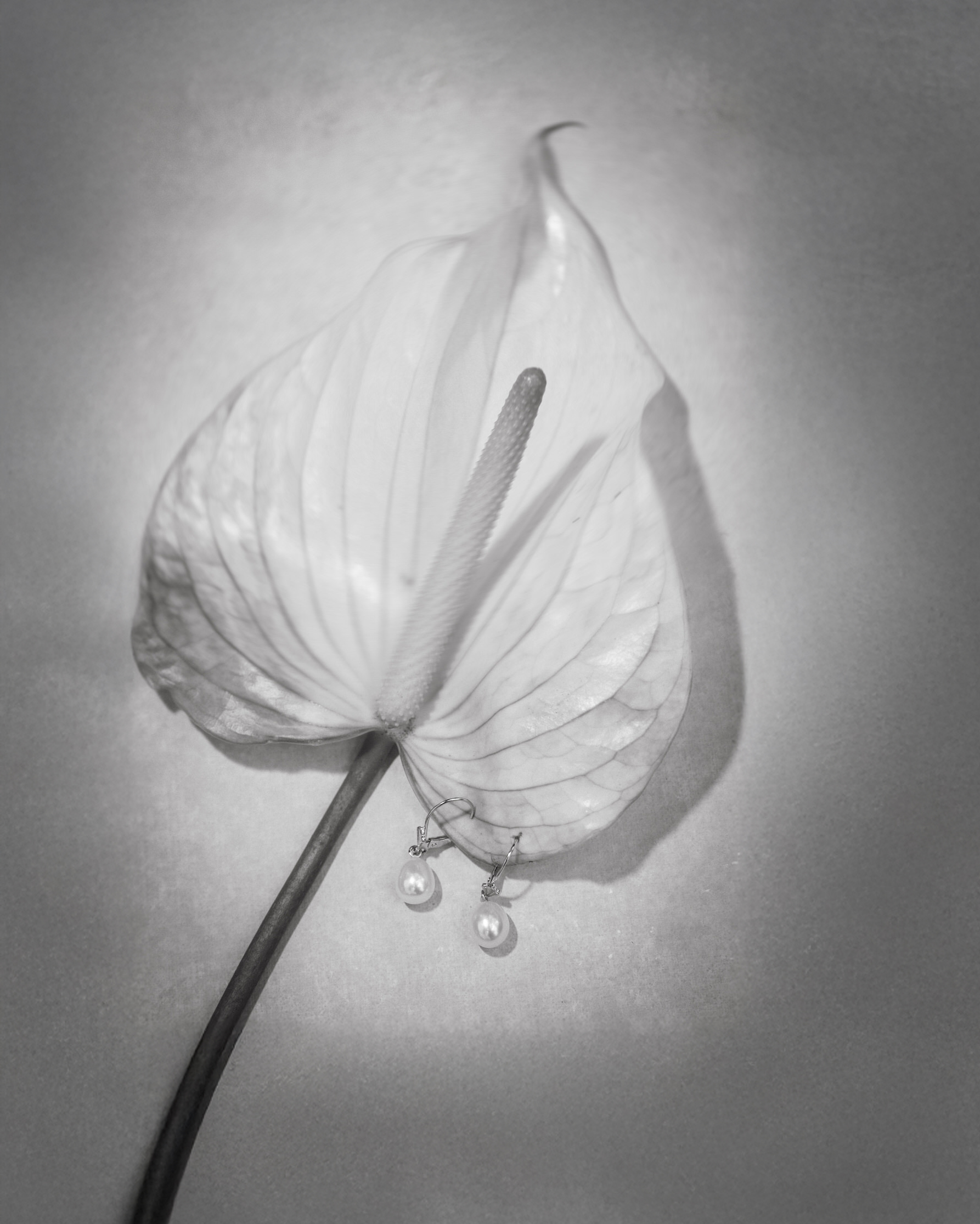 A close-up of pearl drop earrings resting delicately on a white anthurium, showcasing tropical elegance for a Destination Wedding Photography Guide for Couples Planning a Hawaii Wedding.