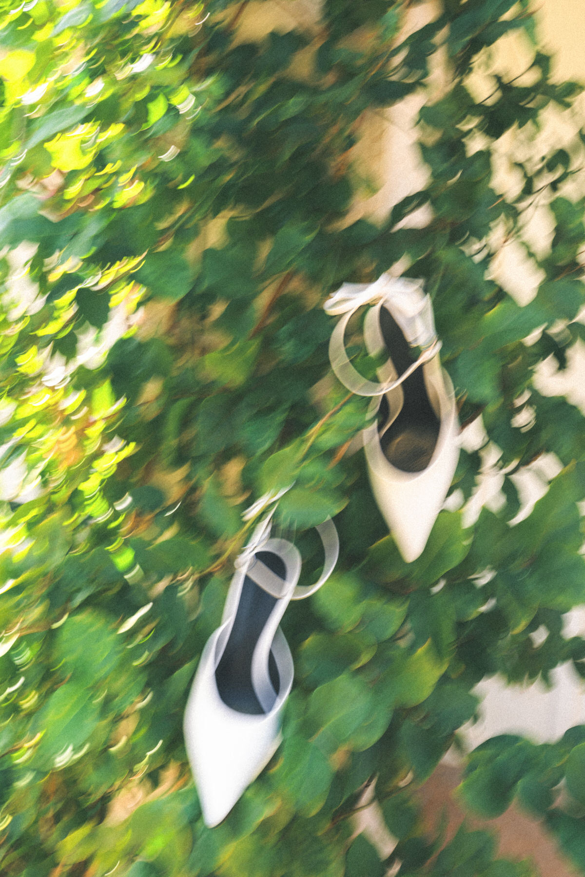 Blurred image of white high-heeled shoes hanging on lush green leaves. The scene conveys a dreamy, whimsical atmosphere with soft light.