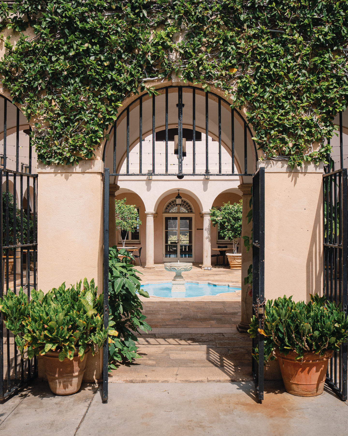 A sunny, vine-draped entrance gate opens to reveal La Pietra’s charming courtyard and central fountain, a dreamy arrival captured for La Pietra Wedding: A Guide for Modern Couples.