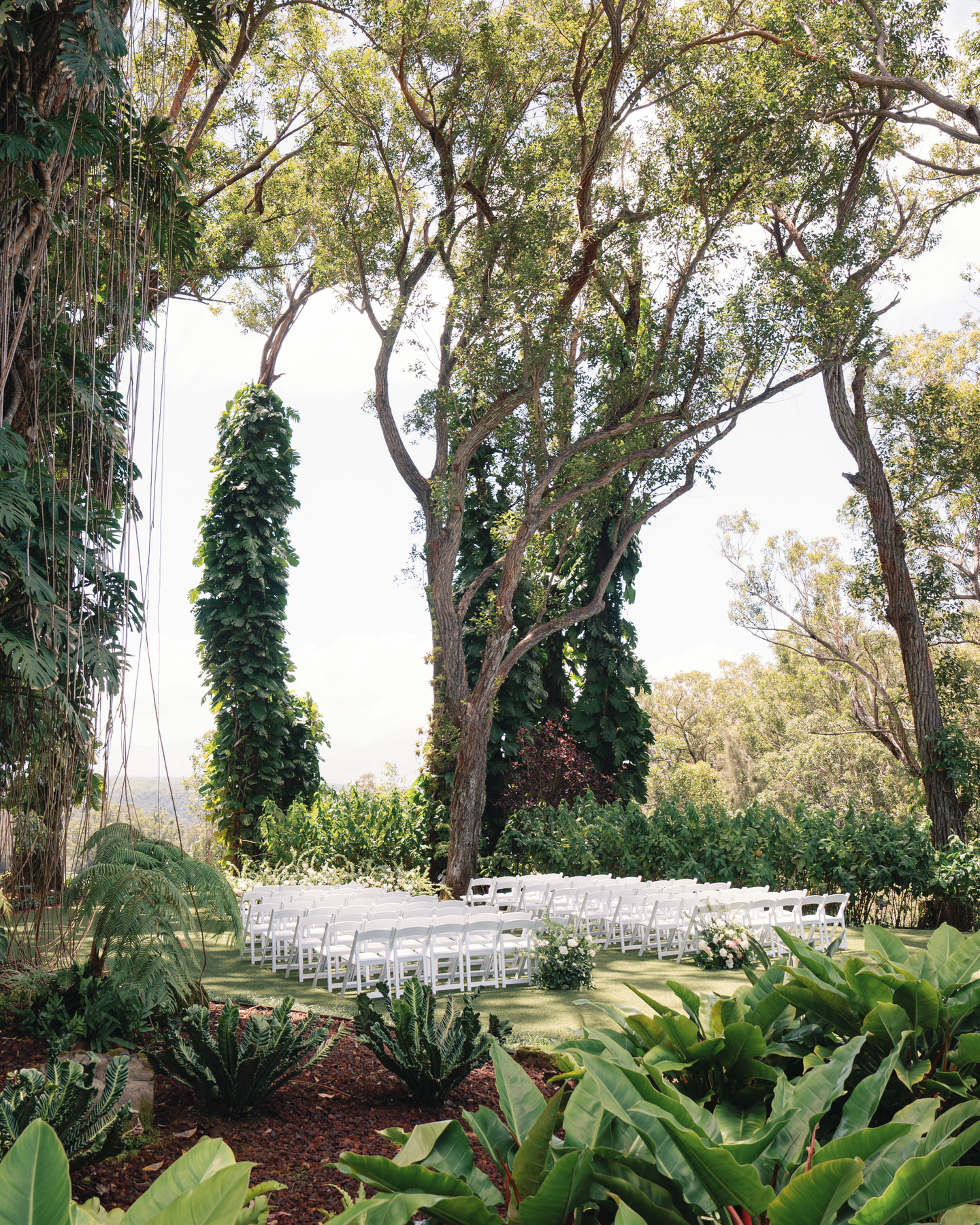 An intimate outdoor wedding ceremony set in a lush, green space with tall trees overhead and white chairs arranged in rows. The sunlight filters through the trees, creating a serene atmosphere for the couple's big day.