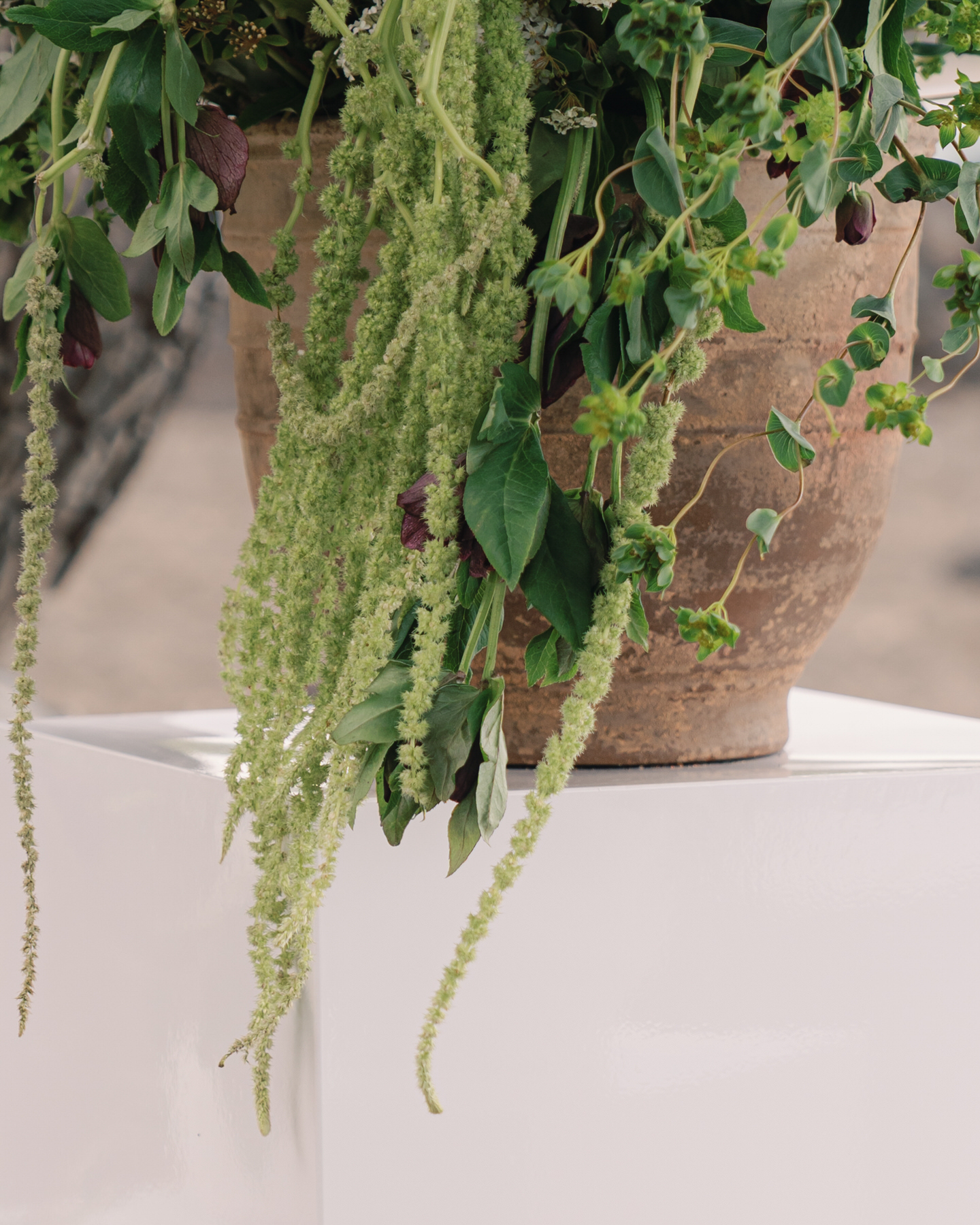 A close-up of a flowerpot with cascading greenery and plants, elegantly arranged on a white pedestal at an Oahu wedding. The detailed focus on the cascading plant highlights the importance of securing professional floral services when planning your Oahu wedding (and my personal recommendations).