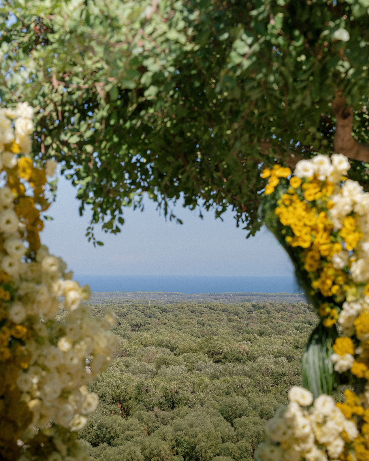 Olive groves and a distant sea view framed by foliage at Cava Puglia.