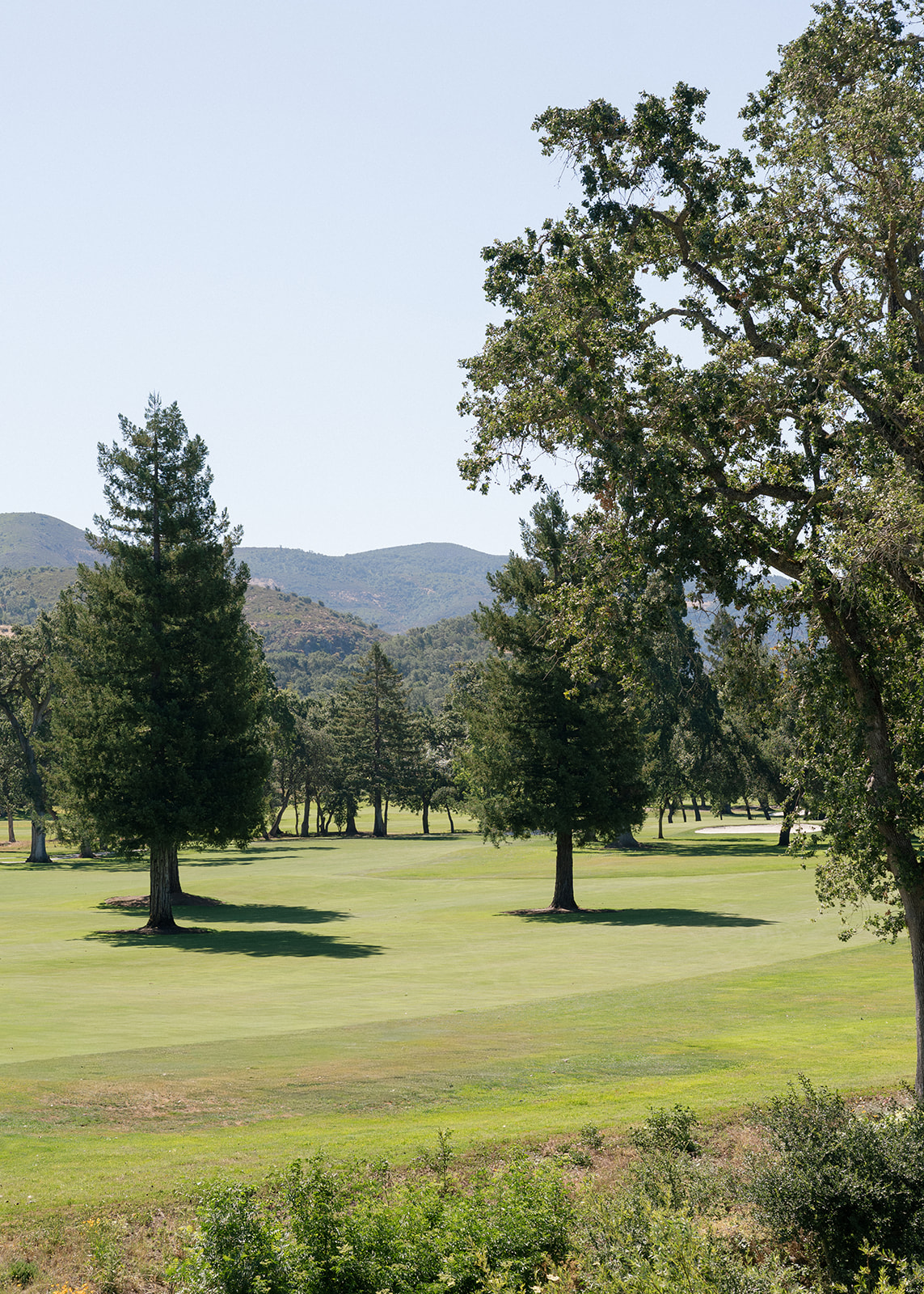 Golf course lawns, mature trees, and hills surround Silverado Resort in Napa.