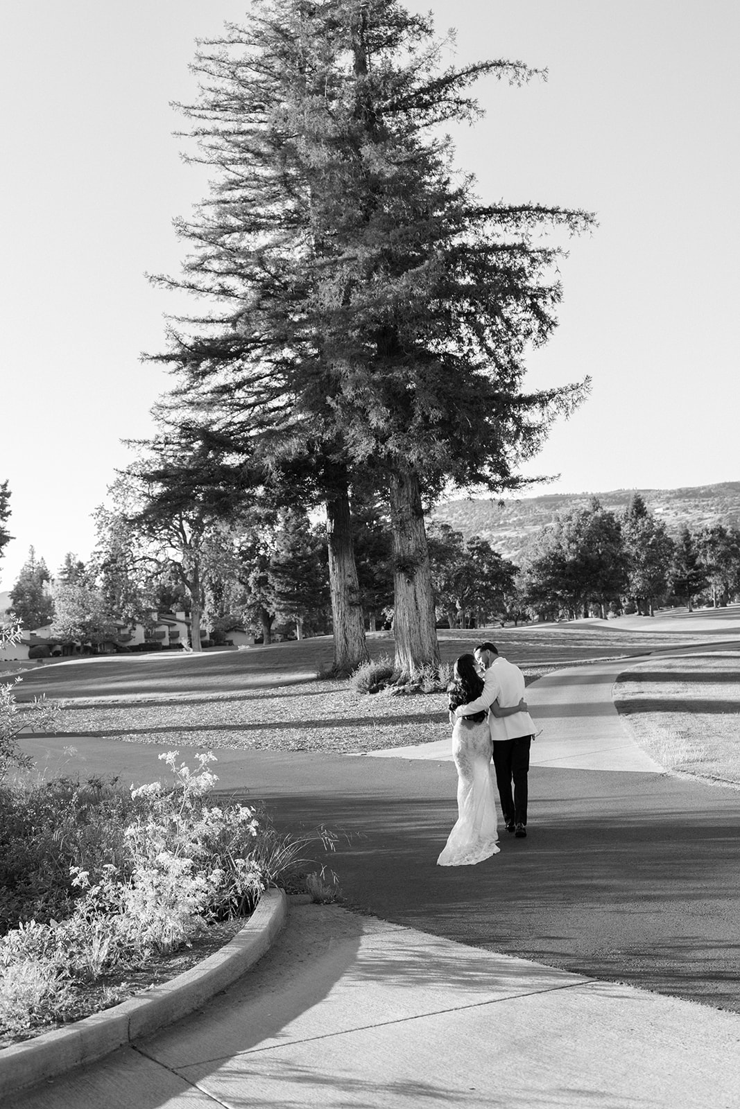 Bride and groom walk along a landscaped drive beneath a tall tree at Silverado Resort in Napa.