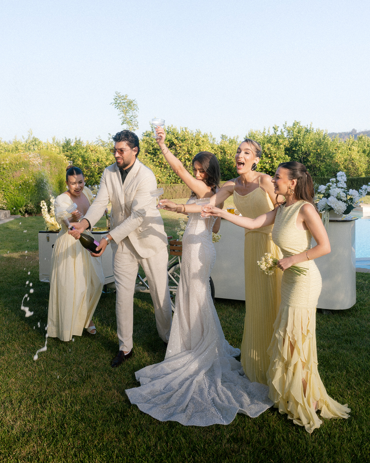 Bride, groom, and bridesmaids raise their glasses during a wedding toast on the lawn at Villa Amodei.